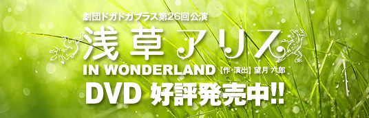 浅草アリス DVD販売開始